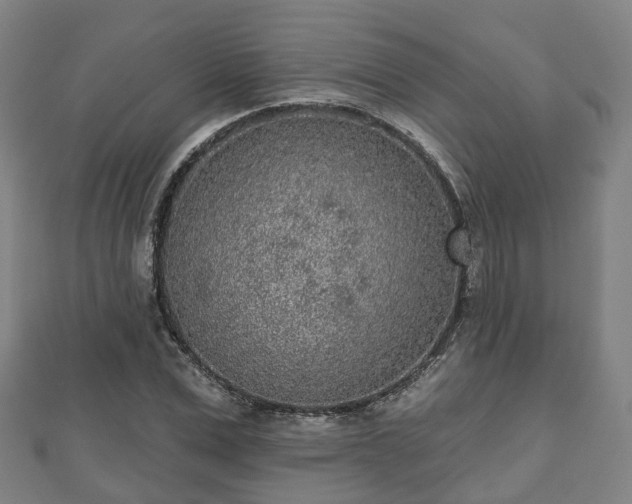 X0000110720975200906191502