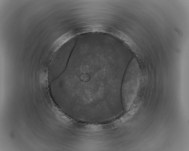 X0000110720977200906191502