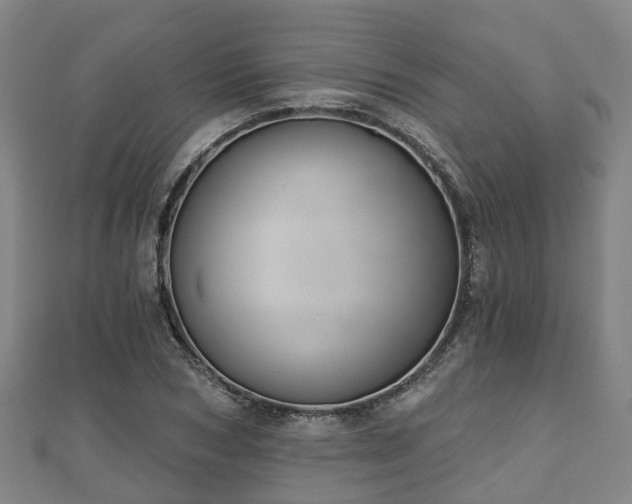 X0000110720978200906191502
