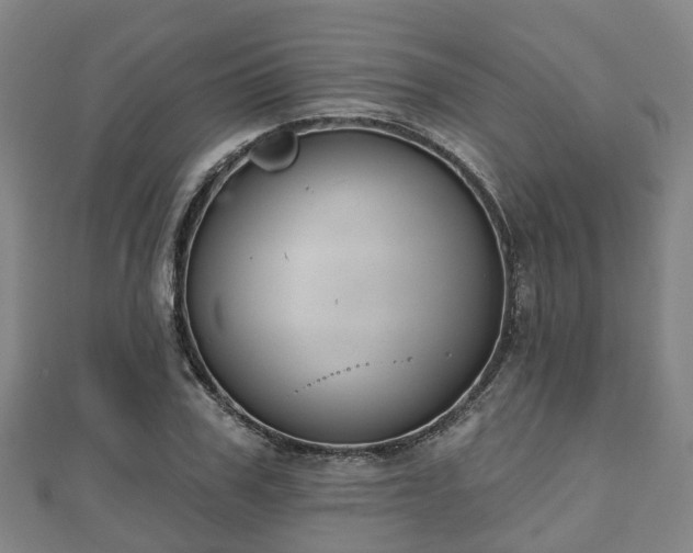X0000110720979200906191502