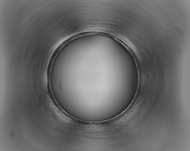 X0000110720980200906191502