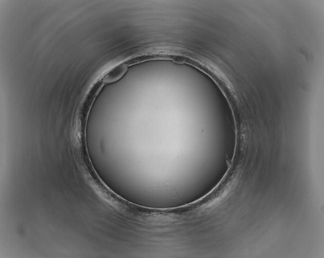 X0000110720981200906191502