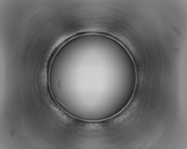 X0000110720982200906191502