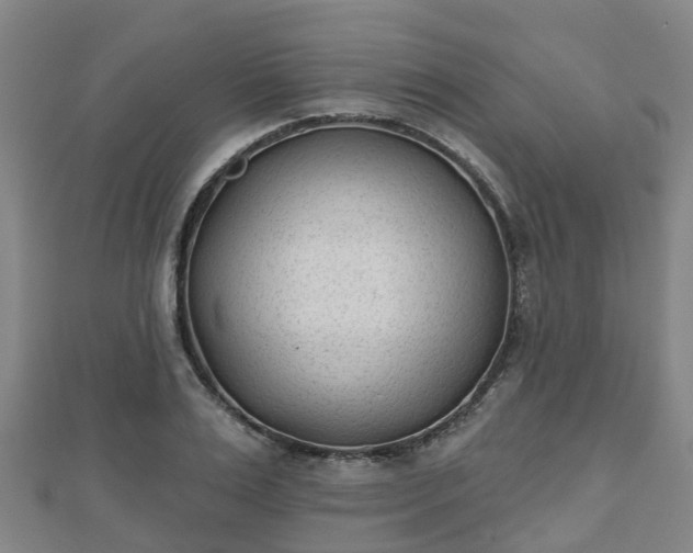 X0000110720983200906191502