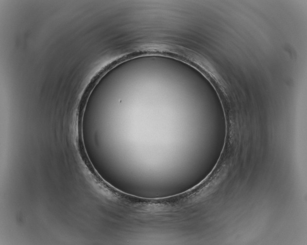 X0000110720984200906191502