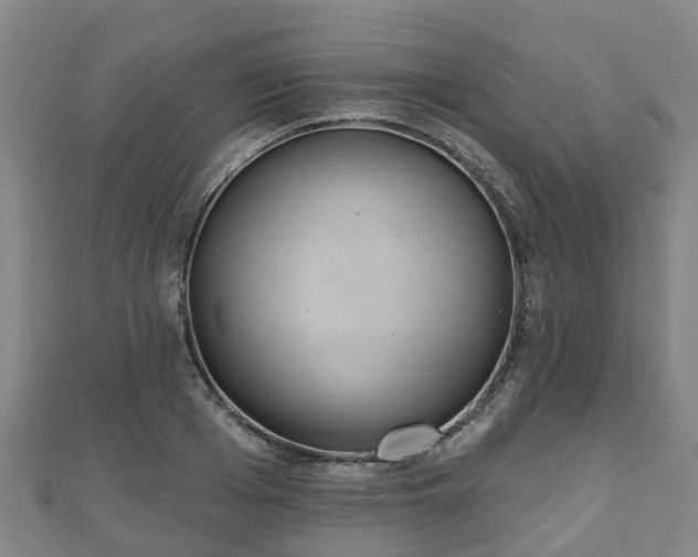 X0000110720985200906191502