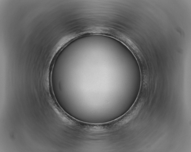 X0000110720986200906191502