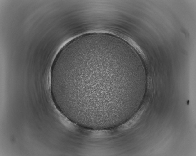 X0000110720988200906191502