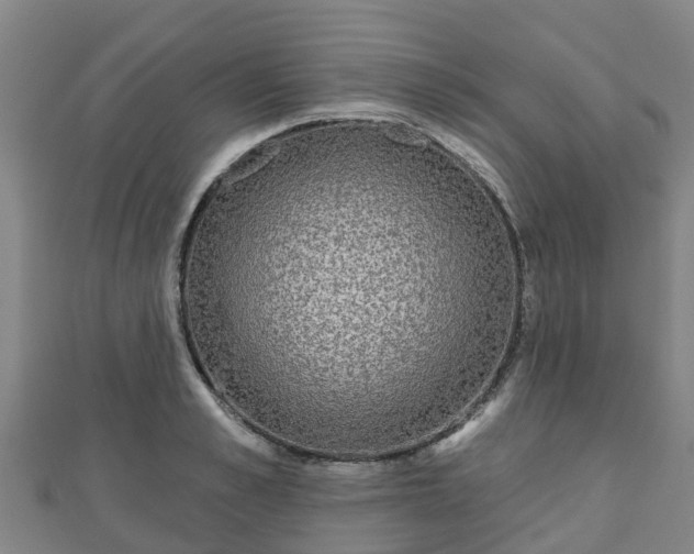 X0000110720989200906191502