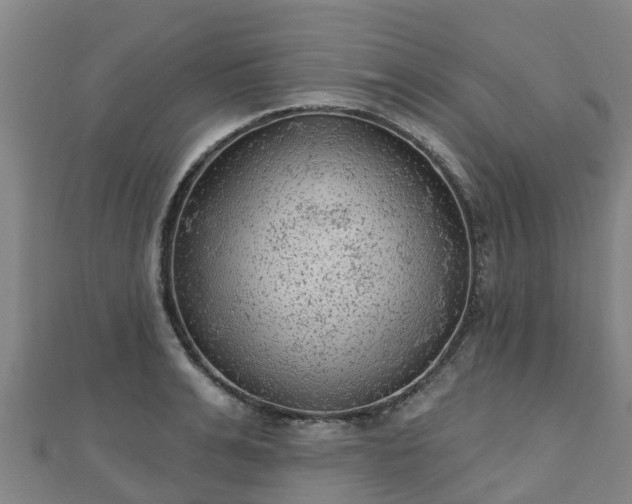 X0000110720991200906191502