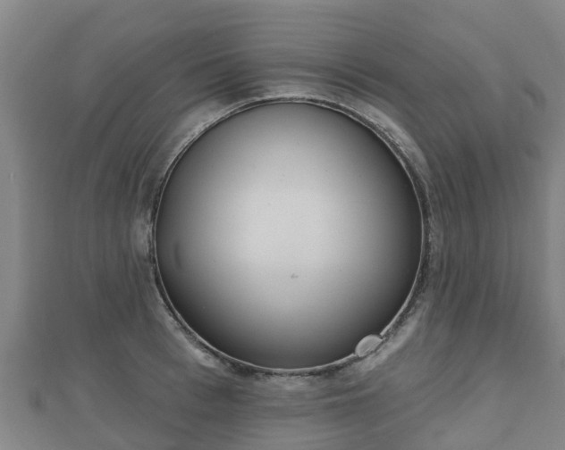 X0000110720993200906191502