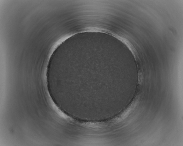 X0000110720995200906191502