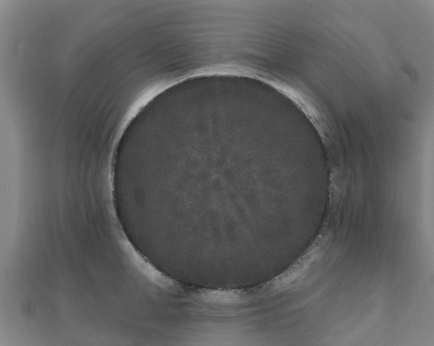 X0000110720998200906191502
