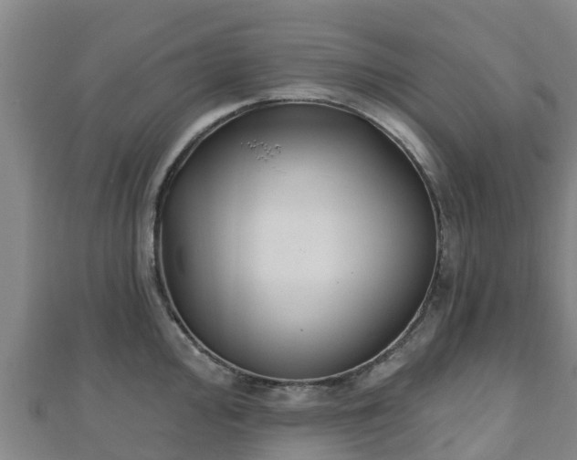 X0000110721000200906191502