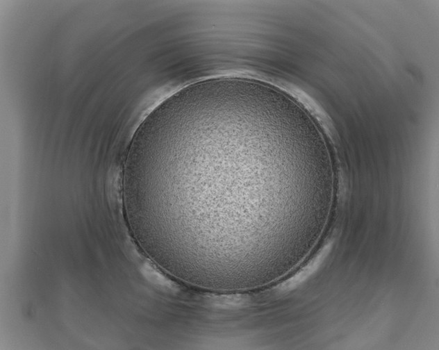 X0000110721001200906191502