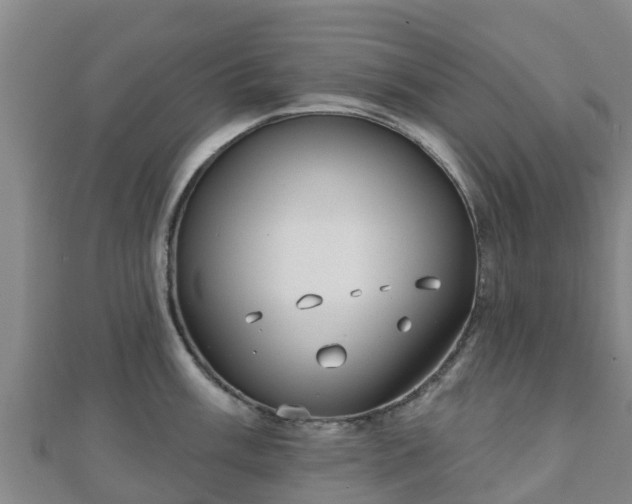 X0000110721003200906191502