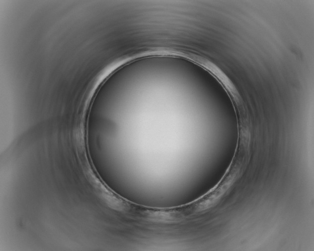 X0000110721004200906191502