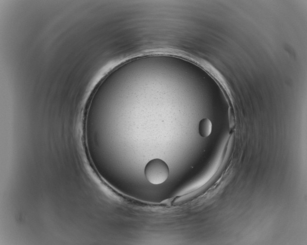 X0000110721005200906191502