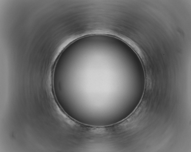 X0000110721006200906191502