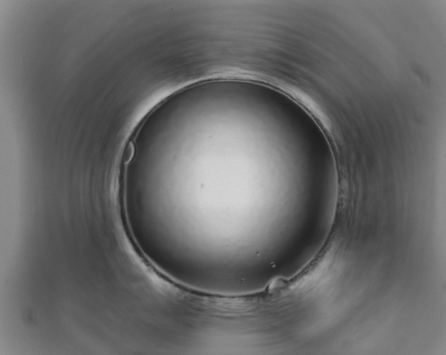 X0000110721007200906191502
