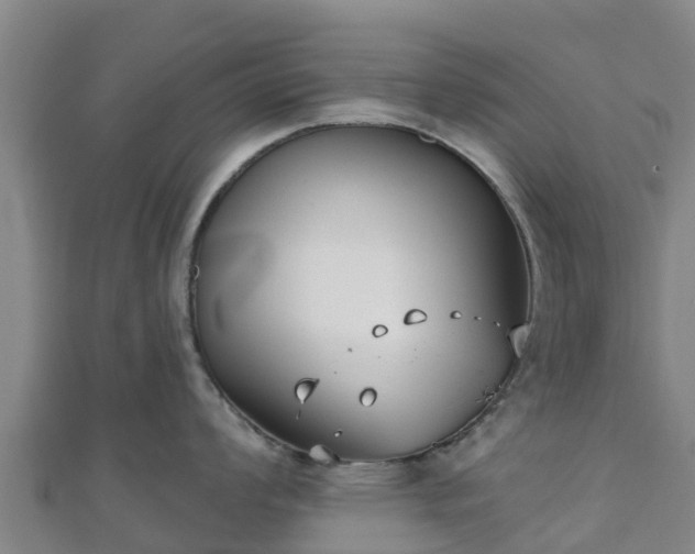 X0000110721008200906191502