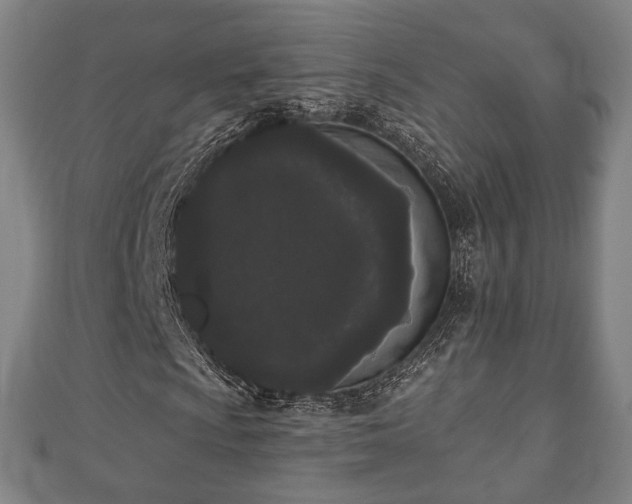 X0000110721009200906191501