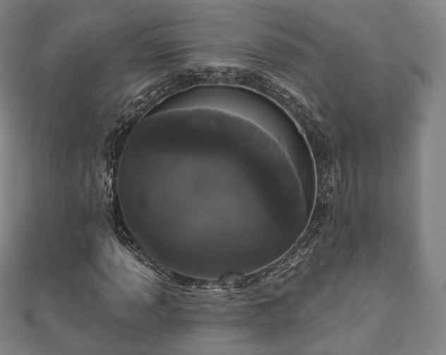 X0000110721013200906191501