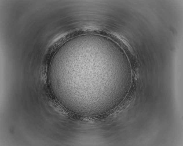 X0000110721015200906191501