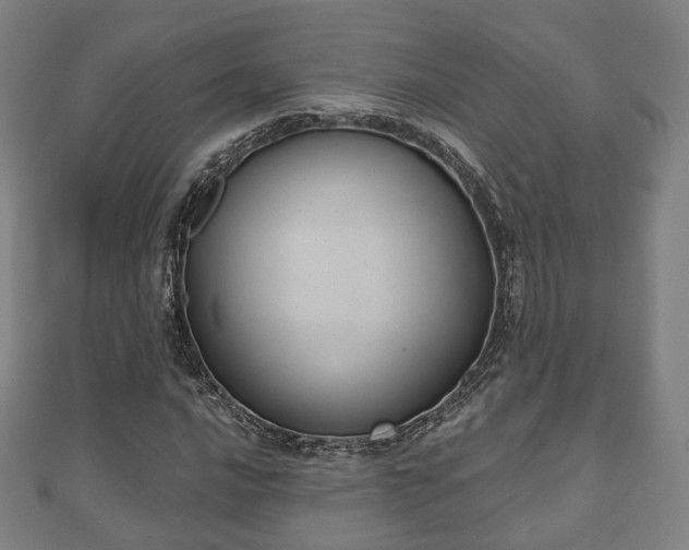 X0000110721016200906191501
