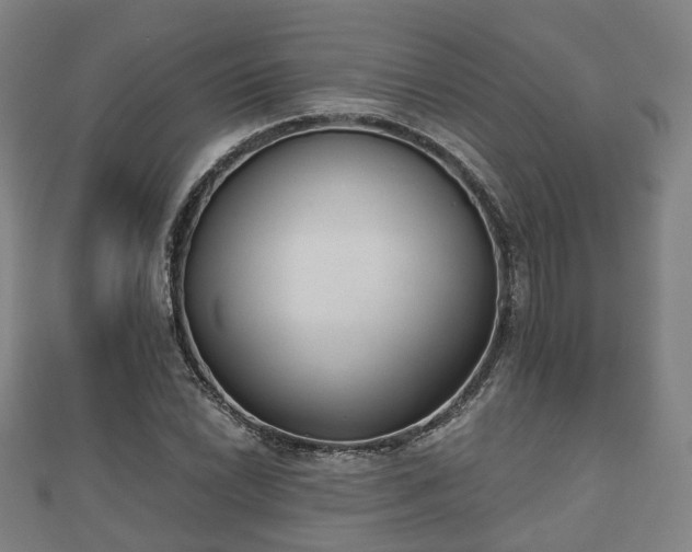X0000110721022200906191501