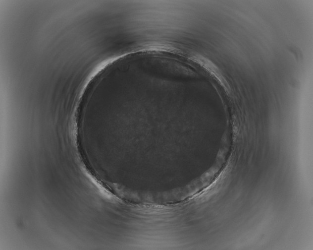 X0000110721024200906191501