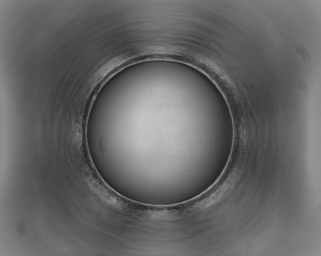 X0000110721025200906191501
