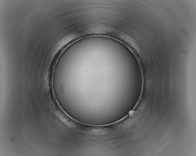 X0000110721026200906191501