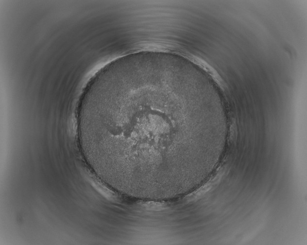 X0000110721027200906191501