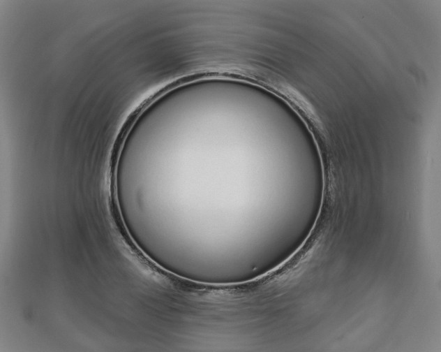X0000110721028200906191501