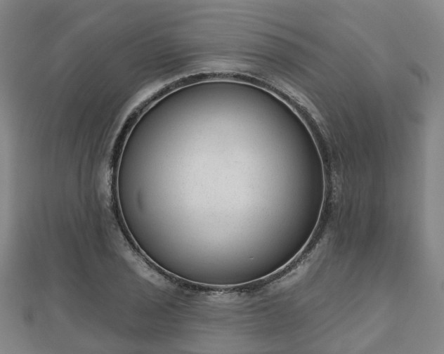 X0000110721029200906191501