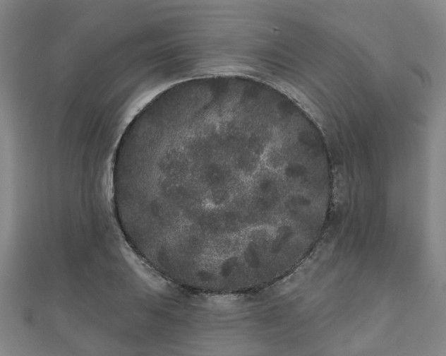 X0000110721031200906191501