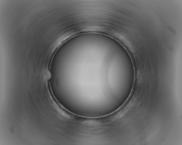X0000110721033200906191501