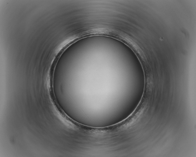X0000110721034200906191501