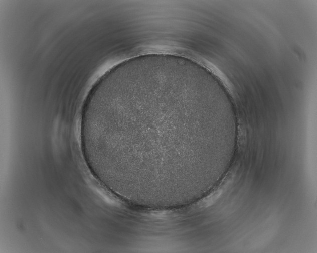 X0000110721035200906191501