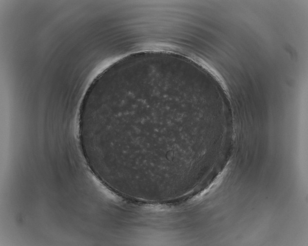 X0000110721037200906191501