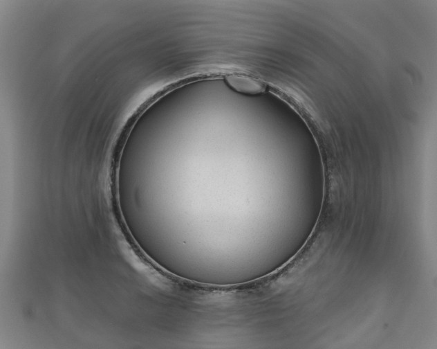 X0000110721038200906191501