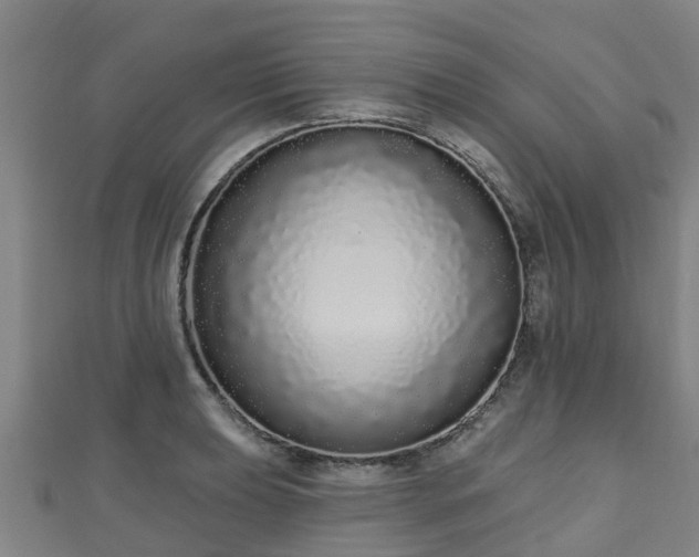 X0000110721039200906191501