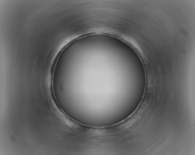 X0000110721040200906191502