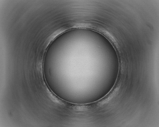 X0000110721041200906191502