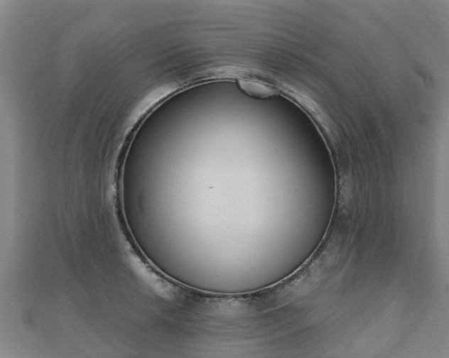 X0000110721042200906191502