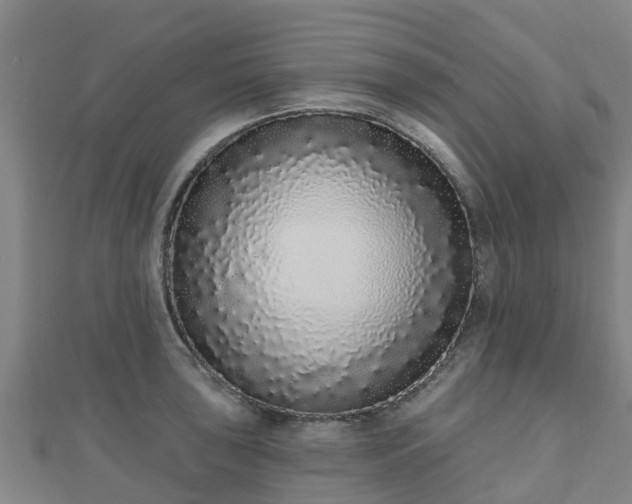 X0000110721043200906191502