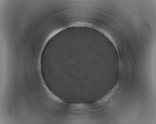X0000110721045200906191502