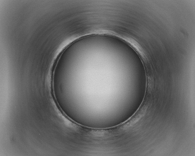 X0000110721046200906191502