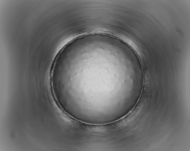 X0000110721047200906191502